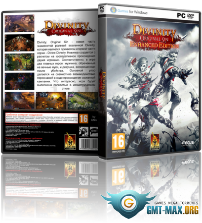 Divinity: Original Sin Enhanced Edition (2015/RUS/ENG/)