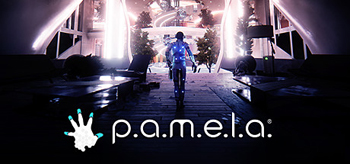 P.A.M.E.L.A. / Pamela (2017/ENG/)