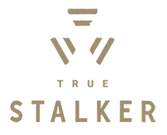 True Stalker - S.T.A.L.K.E.R.: Call of Pripyat (2023) Пиратка