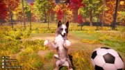 Animal Shelter 2 v.1.1.0 + DLC (2026) RePack