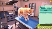 Animal Shelter 2 v.1.1.0 + DLC (2026) RePack