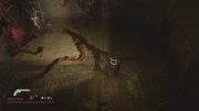 Where the forest ends (2026) �������