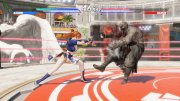 DEAD OR ALIVE 6 Last Round + ��� DLC (2026) �������