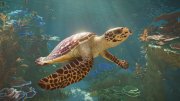 Planet Zoo 2 (2026)