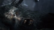 Bloodborne �� �� / PC + DLC (2026) �������