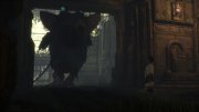 The Last Guardian �� �� / PC (2026) �������