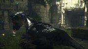 The Last Guardian �� �� / PC (2026) �������