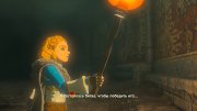 The Legend of Zelda Tears of the Kingdom �� �� / PC (2026) �������
